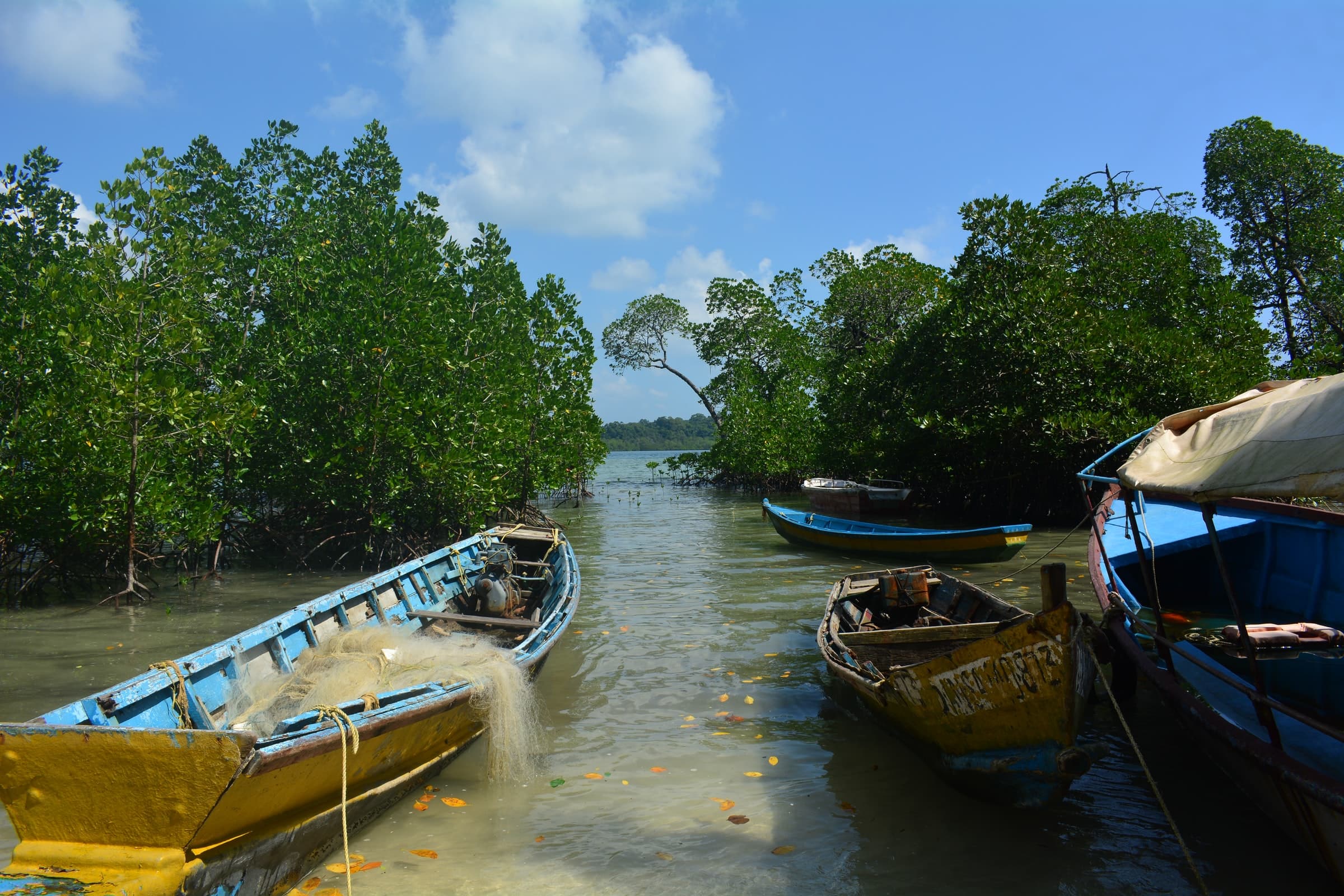 Havelock Island