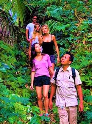 Trekking - Andaman Package