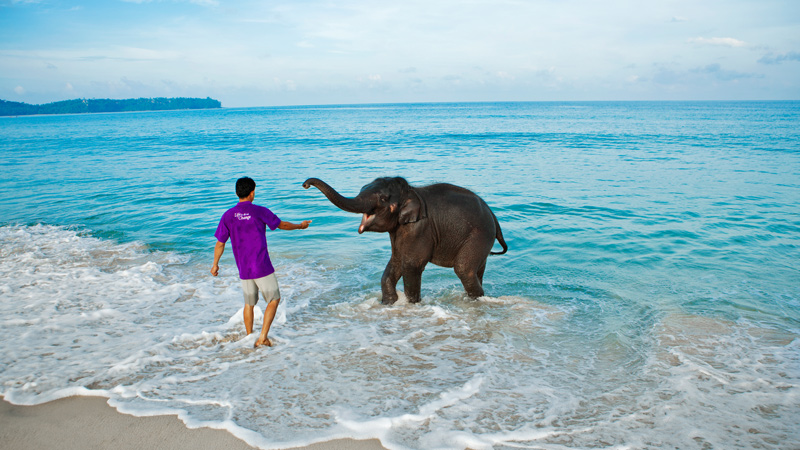 Elephant Beach - Andaman Package