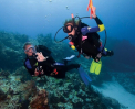 Snorkeling and Scuba Diving - Andaman Package 